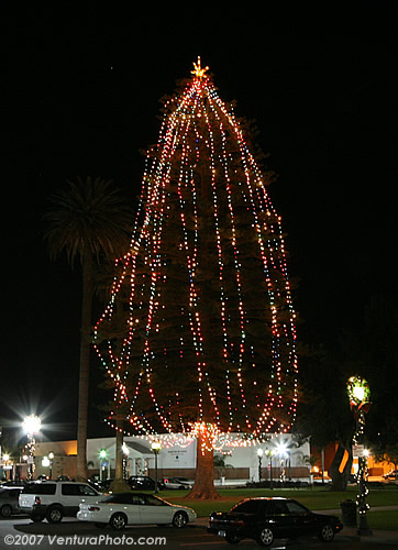Oxnard Christmas Tree